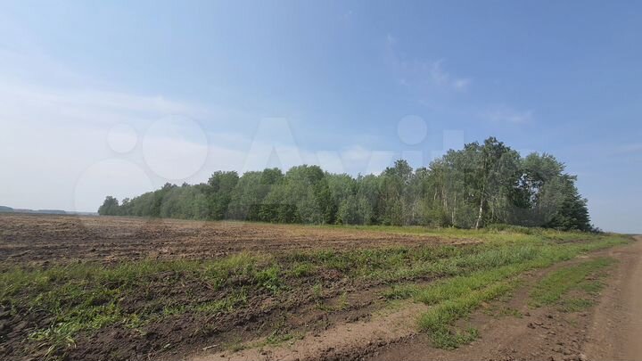 Участок 4 га (ИЖС)