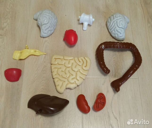 Скелет Артем по частям, журналы