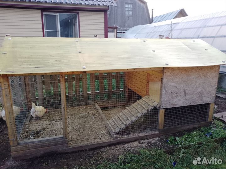 Клетка для кур, брудер для птенцов