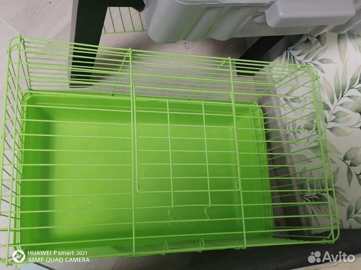 Морская свинка с клеткой