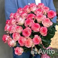 Розы Букет Цветы Доставка 55 роз 101 роза 25 роз