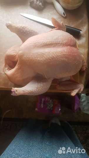 Мясо индейки, бройлеров