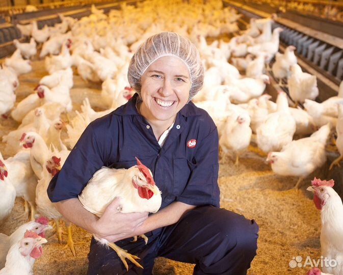 Работа разнорабочий