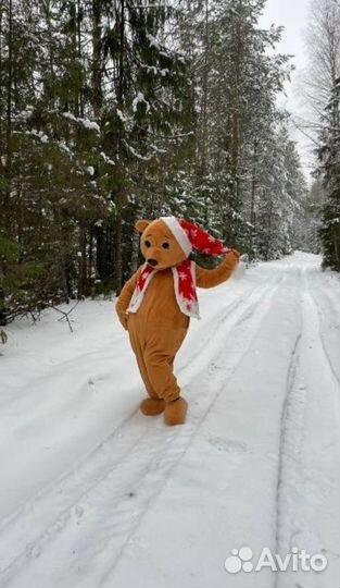 Ростовой костюм Медведь+новогодний костюм
