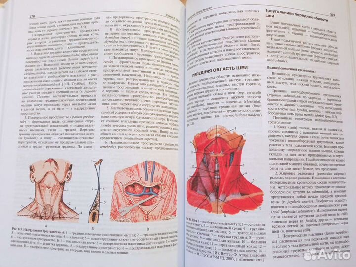 Учебник по топографической анатомии