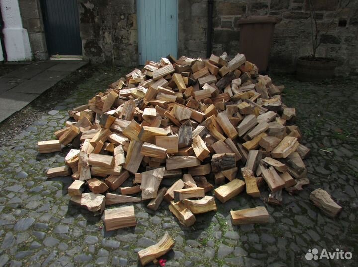 Дрова береза