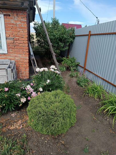 Дом 18 м² на участке 5 сот.