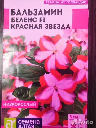Бальзамин