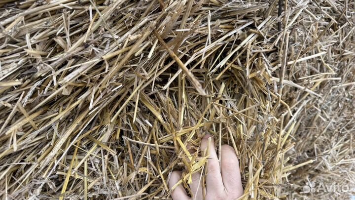Солома в рулонах