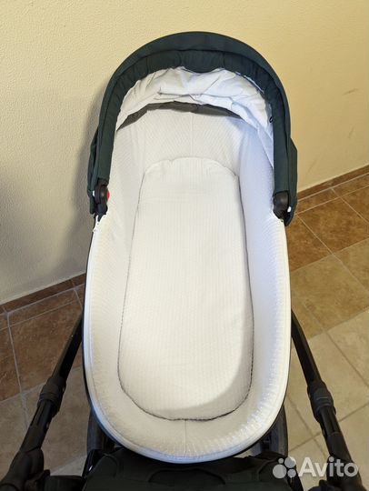 Коляска tutis viva life 2 в 1