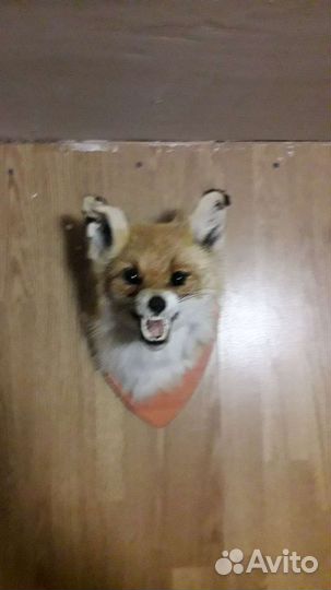 Выделка шкур