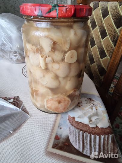 Грибы соленые
