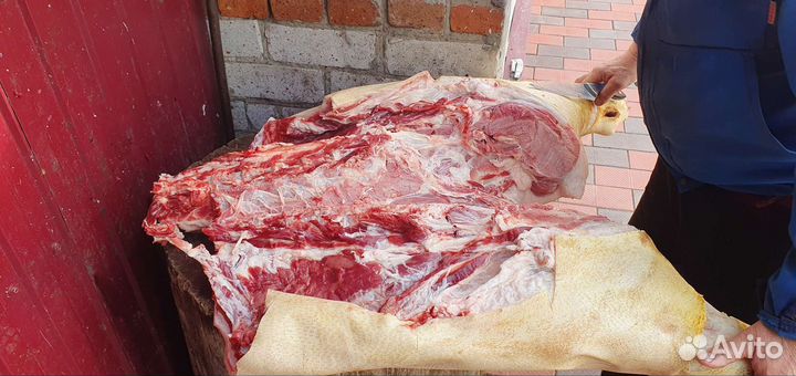 Мясо свинина домашняя