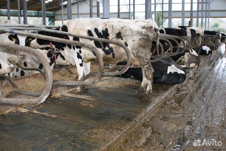 Резиновые покрытия для полов (Маты для коров)