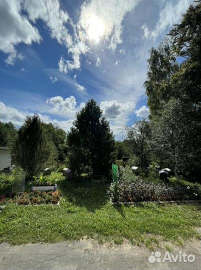 Мед с собственной пасеки 2023 урожай