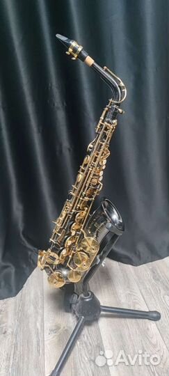 Альт-саксофон Roy Benson AS-202Eb