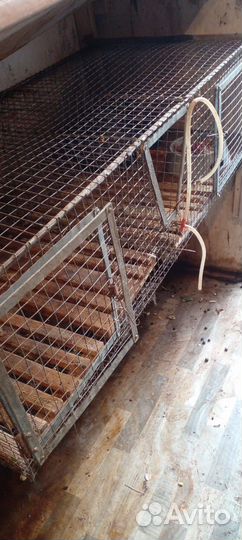 Клетки для кроликов бу