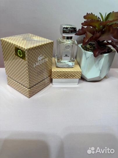 Lacoste pour homme