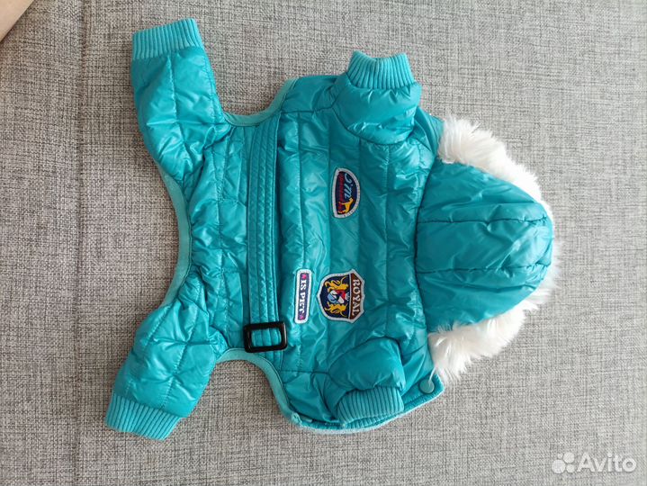 Комбинезон для маленькой собачки