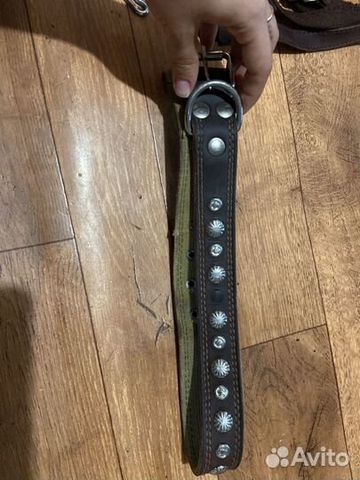 Шлейка, ошейник