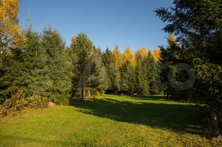 Участок 33 сот. (СНТ, ДНП)