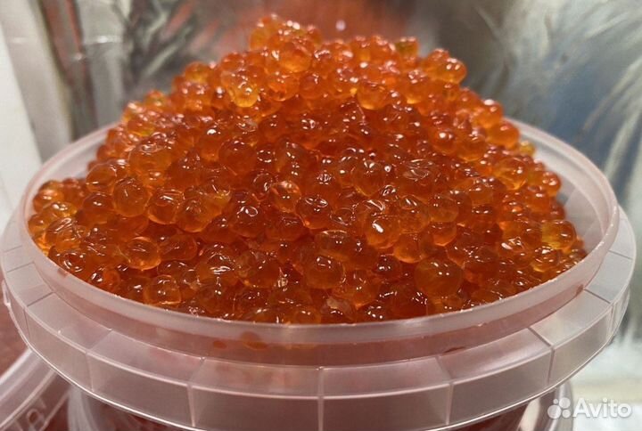Красная икра оптом