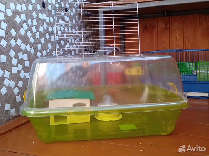Клетка для грызунов хомяков о всём необходимым