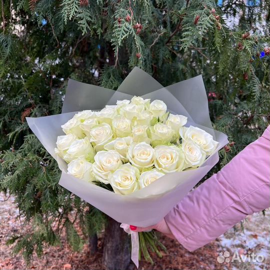 Букет из 25 белых роз (моно 035)