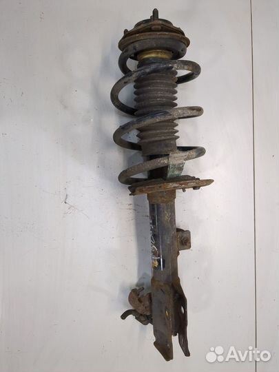 Амортизатор подвески Dodge Caliber, 2008