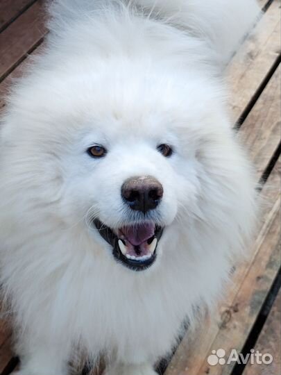 Взрослый мальчик