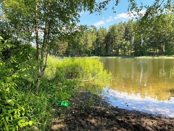 Участок 1,45 га (ИЖС)