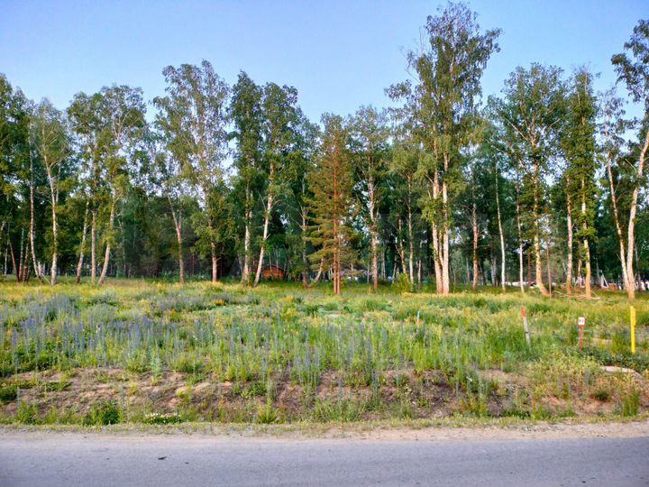 Участок 9 сот. (ИЖС)