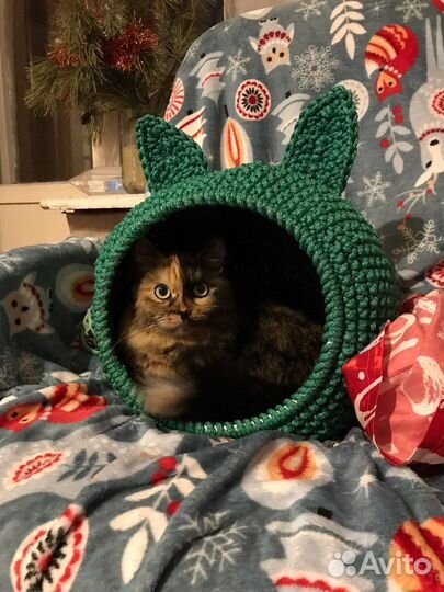 Уютный домик для кошки