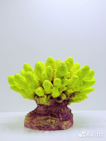 Коралловые декорации - Аквасалон Дискус