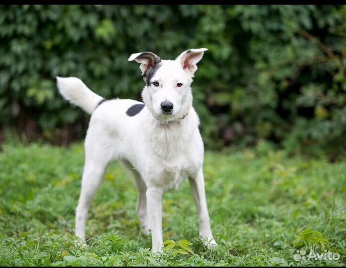 Беленькая Нора