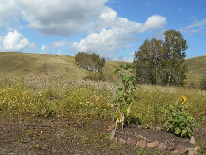 Участок 10,2 сот. (СНТ, ДНП)