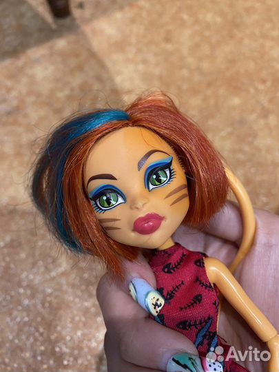 Тора для доставки