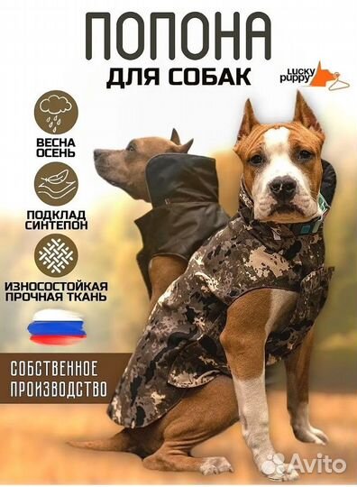 Попона для собак/одежда для собак новая