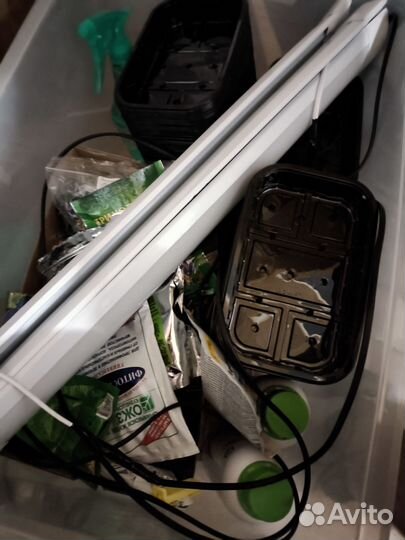 Набор для выращивания микрозелени