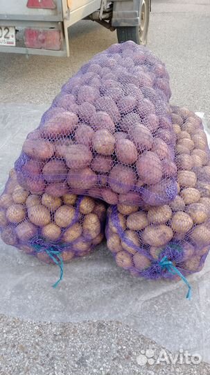 Картошка продажа