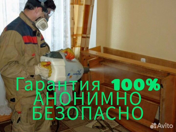 Уничтожение клопов тараканов блох клещей мышей