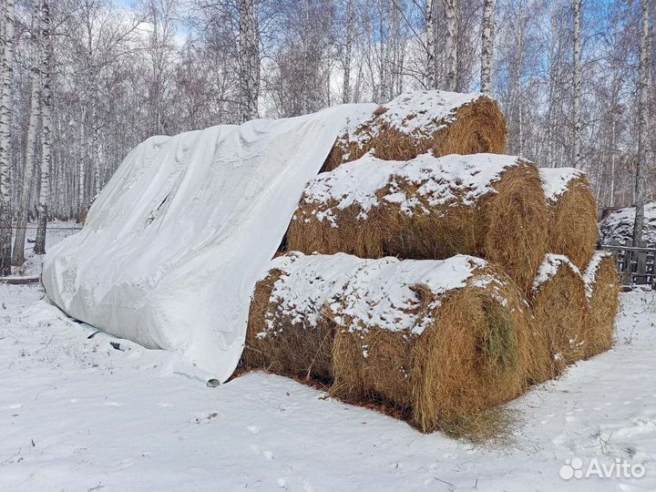 Продам сено в рулонах