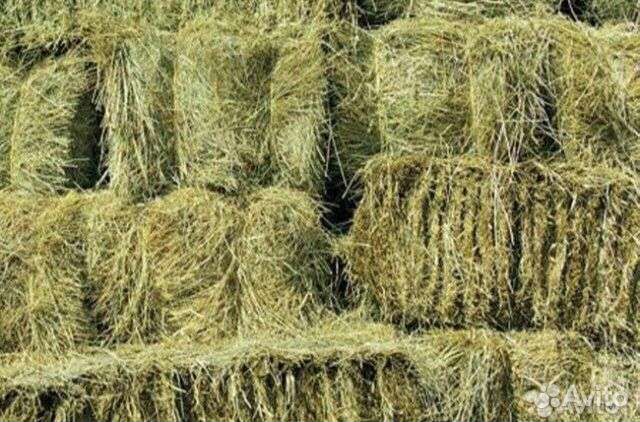 Сено в тюках