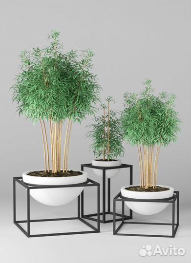 Кашпо из бетона в наличии и под заказ