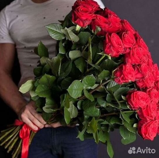 Высокие розы