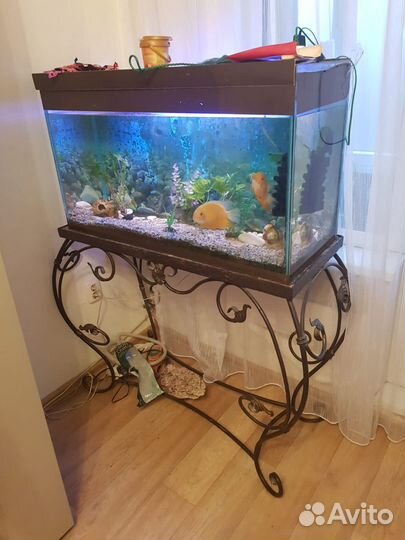Аквариум на кованной подставке ручной работы