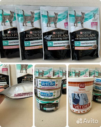 Фонтан поилка с датчиком движени. Корм про план