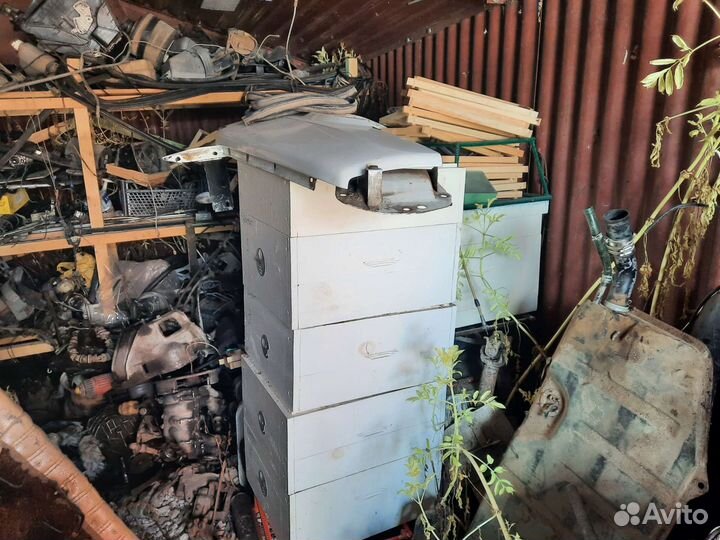 Продам пасеку