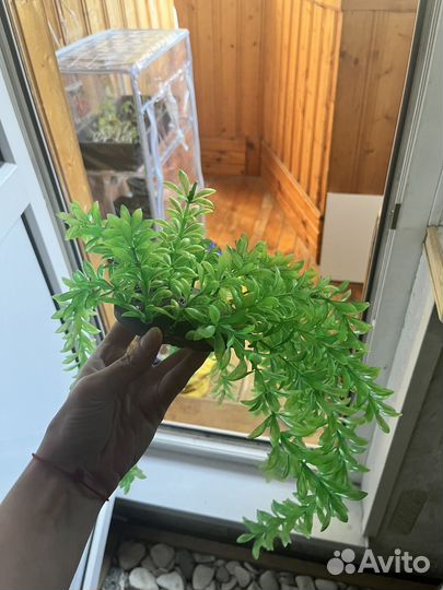 Аквариумные растения искусственные