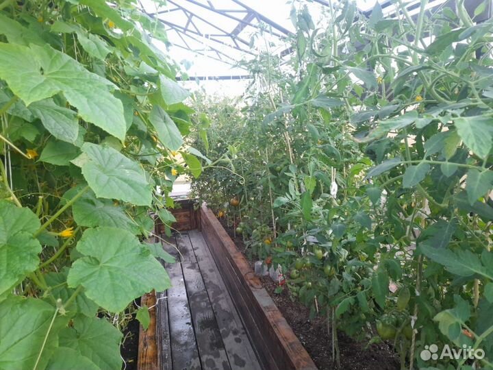 Теплица в Английском стиле